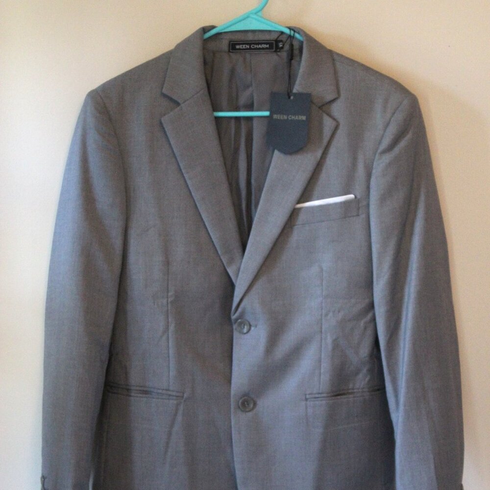 Ween Charm Gray Suit